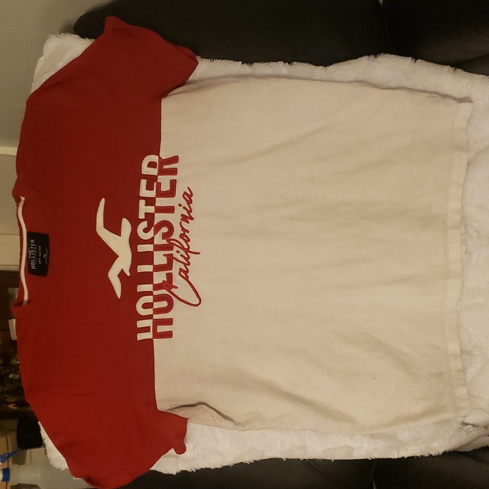 Hollister Mens short sleeve tshirt